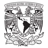 psicorenacimiento_coaching_empresarial-clientes_unam
